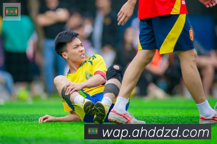 kaiyunAPP 高清赛事图